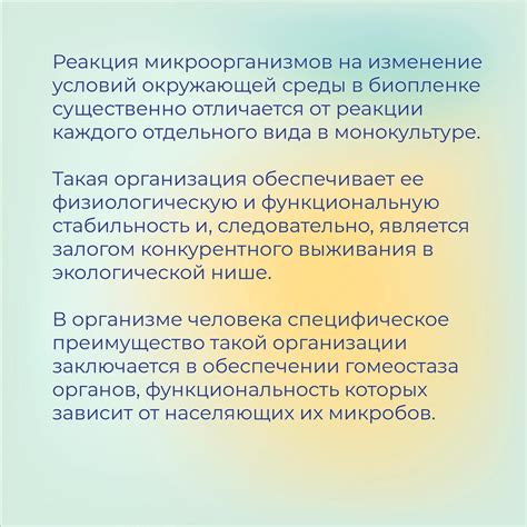 Длительные перелеты свели на нет здоровье Галлана — гендиректор «Шанхайских Драконов»