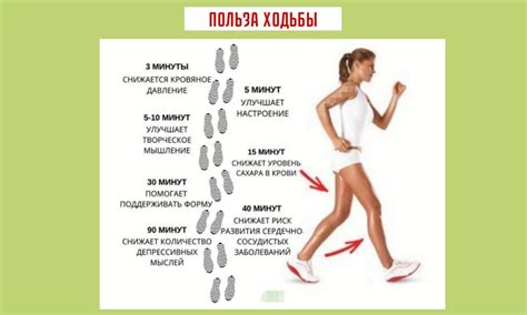 Эффективные методы тренировок для поддержания здоровья и формы