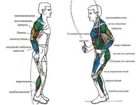 Эффективные способы поддерживать форму с помощью спорта