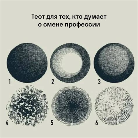 Как Ленобласть превращает спорт в доступное хобби для всех