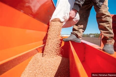 Как мигрируют фермеры: от ЮАР до Владимирской области – новая жизнь для 50 семей