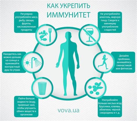 Как укрепить иммунитет: 7 простых шагов к здоровью