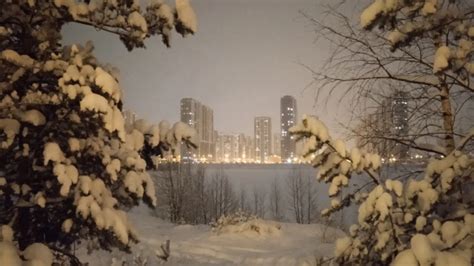 Карьера на первом месте: чего ждут петербуржцы в 2026 году