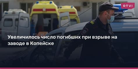 Локальный карантин в Копейске: что известно о вспышке бешенства