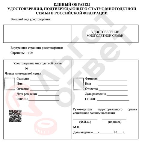 Новый формат поддержки многодетных семей: электронные удостоверения в МФЦ Петербурга