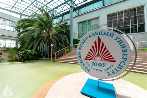 Психологические сезоны в ЮФУ: Новый формат для развития личности и науки