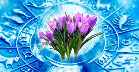 Тайны 5 марта: что обещают звезды — подарки для Тельцов и урок доверия для Скорпионов