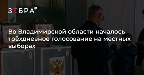 Трёхдневное голосование во Владимирской области: что важно знать и чего ждать