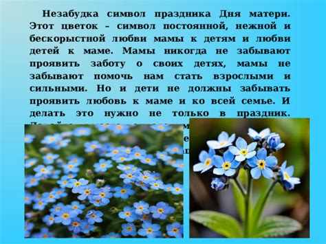Цветочная магия для 8 марта: как «Незабудка» превращает праздник в воспоминание
