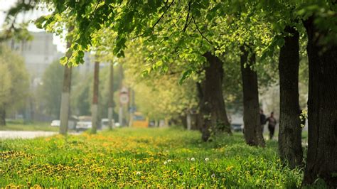 Весеннее солнце обманчиво: врач объяснила, к чему приведёт раннее увлечение загаром