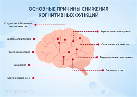 Влияние чтения на когнитивное здоровье: культурный досуг для мозга