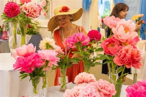 Яркие пионы Челябинска: первая в городе специализированная выставка