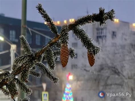 Заряд энергии: красота кузбасской природы в начале рабочей недели