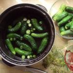 Rýchle recepty na solené uhorky