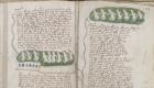 Dekódovanie Voynichovho rukopisu