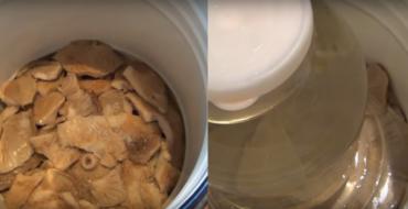 Hogyan tároljuk a tejgombát hideg sózás után