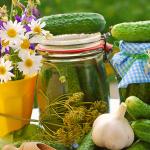 Soled uhorky solené uhorky chrumkavé recept najchutnejšie