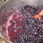 घर पर अंगूर से वाइन बनाना: रेसिपी