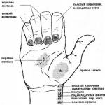 Obszary projekcyjne narządów na dłoniach