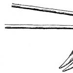 الأدوات الزراعية في أوائل العصور الوسطى