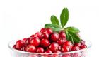 Manfaat cranberry untuk tubuh